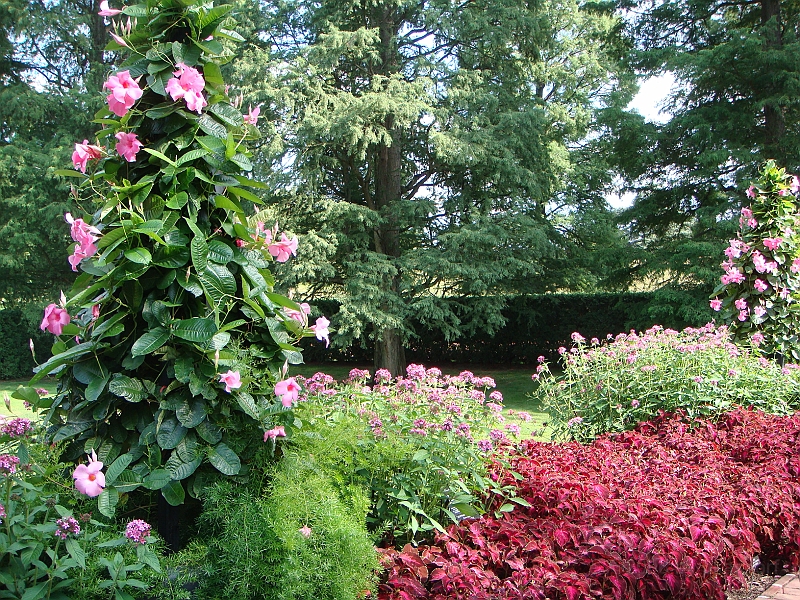 152 Longwood Gardens [2008 August 23].JPG - Longwood Gardens in Pennsylvania